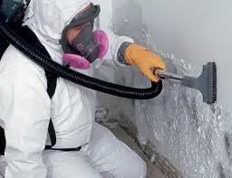 Best Mold Odor Removal Services  in Rainier, WA